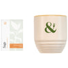 Modern Sprout Golden Moments/Sage Garden Vibes Candle/Planter