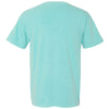 Comfort Colors Unisex Chalky Mint Garment-Dyed Heavyweight T-Shirt