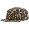 Color Brown