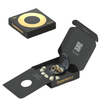 Loop Gold Experience 2 Earplugs