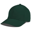 Color Dark Green