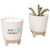 Modern Sprout Ice Blue Glow & Grow Live Well Gift Set