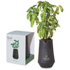 Modern Sprout Black/Basil Tapered Tumbler Grow Kit