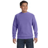 Comfort Colors Men's Violet 9.5 oz. Crewneck Sweatshirt