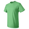 Fruit of the Loom Men's Kelly HD Cotton Short Sleeve T-Shirt