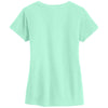 Alternative Apparel Women's Mint Legacy V-Neck T-Shirt