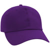 Ahead University Purple/University Purple Largo Cap