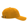 AHEAD University Gold Vintage Classic Solid Cap