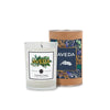 SnugZ Frosted Pinecone Scented Tumbler Candle in a Cardboard Gift Tube with Metal Lid 8 oz.